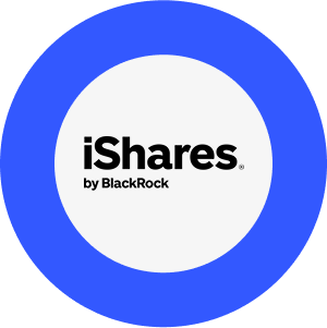 iShares Core MSCI EM IMI UCITS