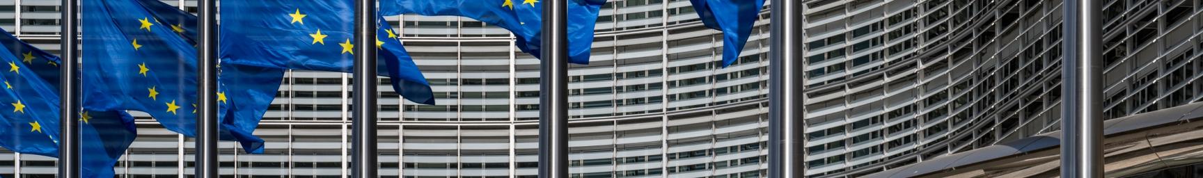 Europe_EU_Flags