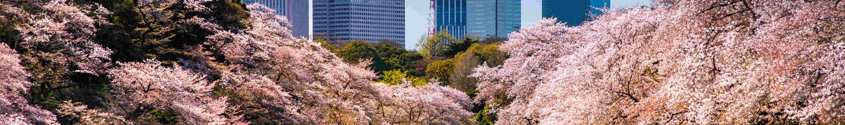 What are the Five Currency Pairs to Watch in April 2025 and Why?