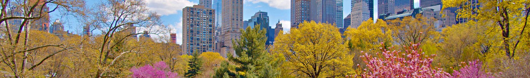 What are the Five Currency Pairs to Watch in March and Why?