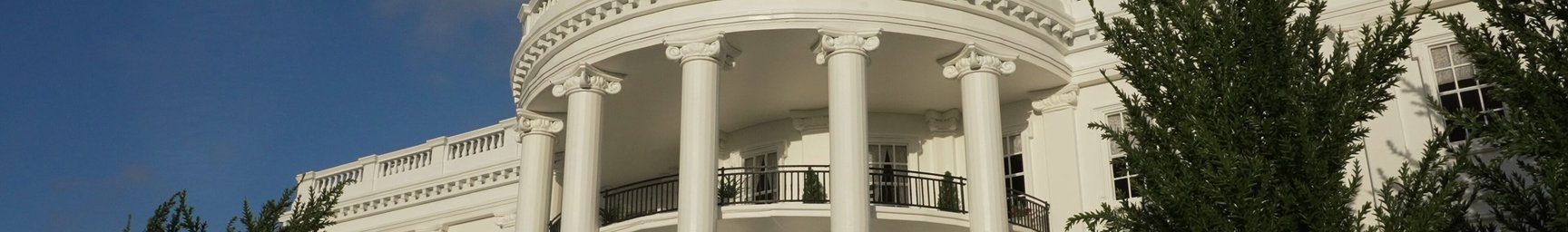 100 Days of Trump: How have financial markets performed?