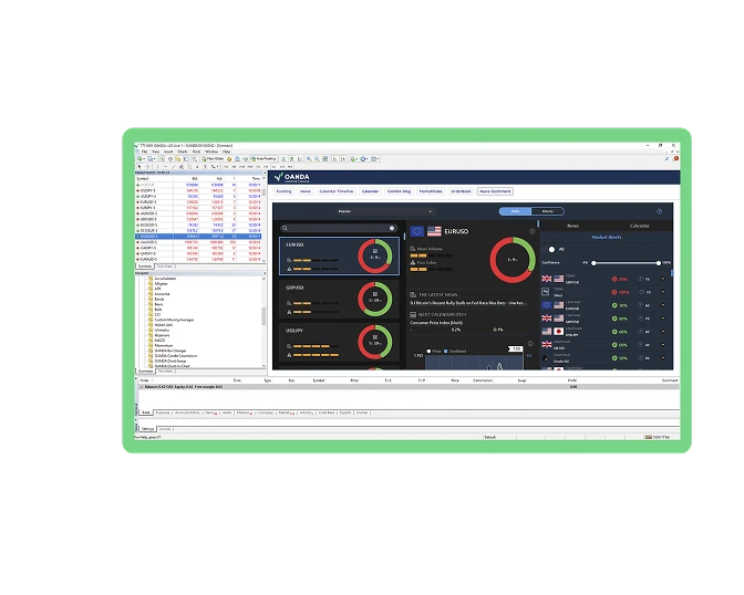 SG | MetaTrader 4 | New | What is MetaTrader 4